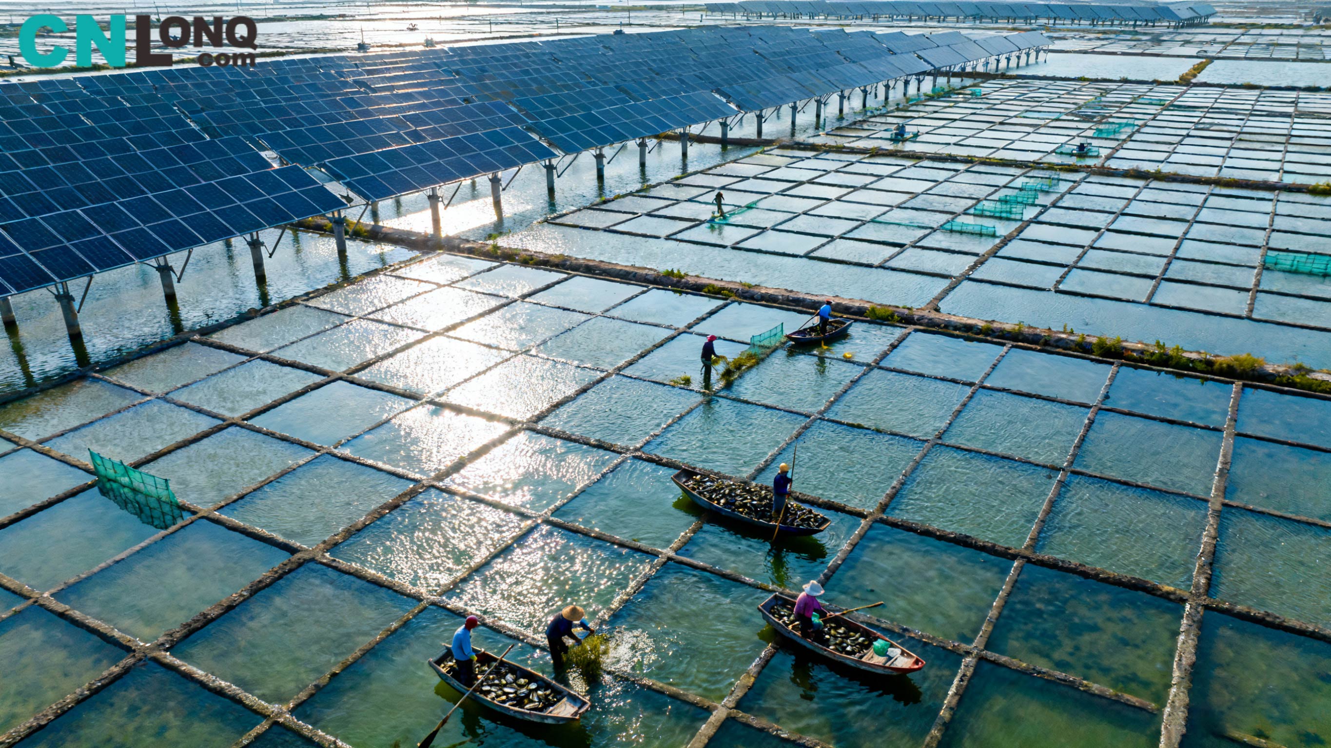 Total Investment of RMB 1.2 Billion! Xindao Qingkou Salt Field 250MW 